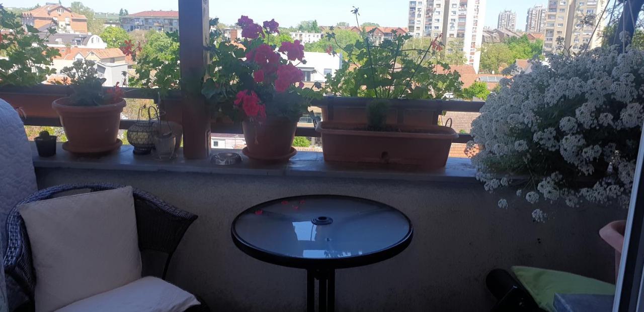 Apartmani Emerald Dream ノヴィ・サド エクステリア 写真