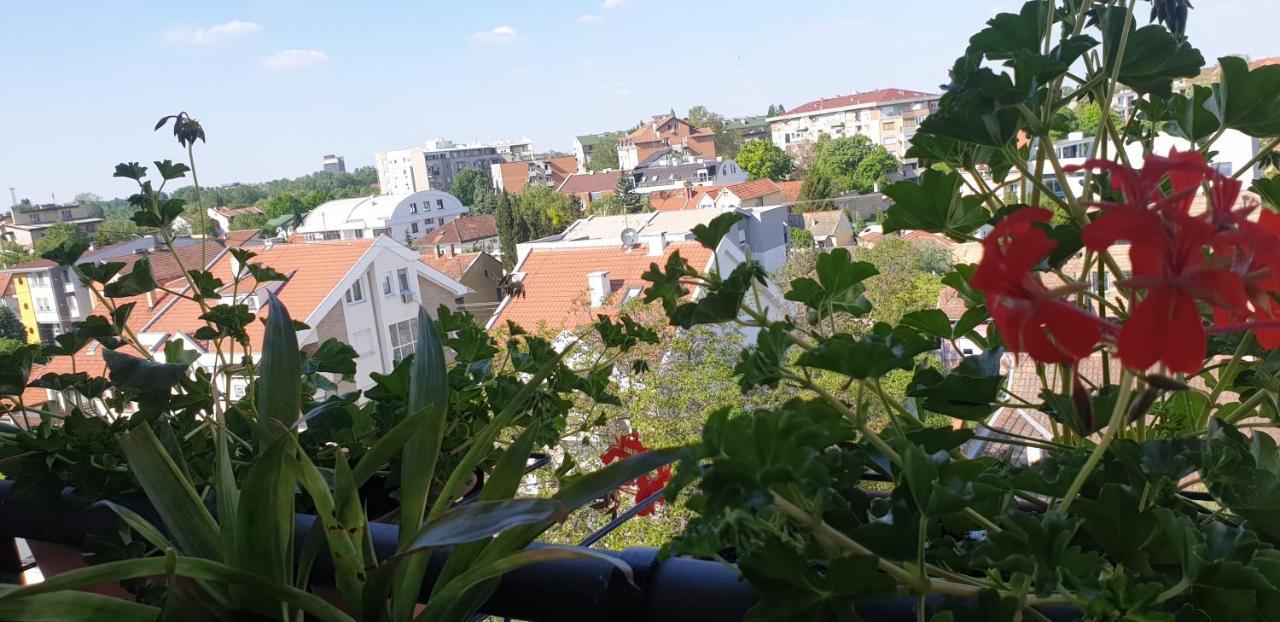 Apartmani Emerald Dream ノヴィ・サド エクステリア 写真